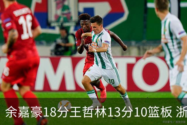 余嘉豪18分王哲林13分10篮板 浙江力克上海