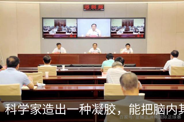 科学家造出一种凝胶，能把脑内其他细胞变成神经元，或可用来治阿尔茨海默病