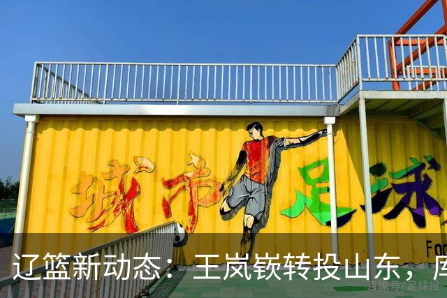 辽篮新动态：王岚嵚转投山东，库珀官宣 回归，三外援锁定争冠 ！